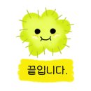 메종드게코