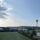 가고픈청보리 | 제주 워케 베케 붸케이션 (2)