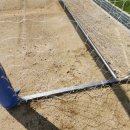 원정초등학교 이미지