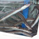 삼동면보건지소 이미지