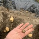 외갓집체험마을 이미지