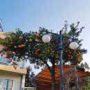 안덕계곡 앞 3 이미지