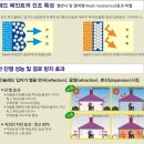 베란다 곰팡이 방지 친환경페인트 바이오 세라믹을 추천합니다.~ 이미지