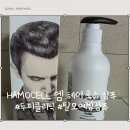 하모헤어 | HAMOCELL 엠 헤어 로스 샴푸 후기 / 요즘 많이 찾는 남자탈모샴푸 두피 샴푸, 남편님이 써봤어요