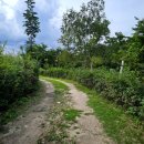 신왕리 쉼터 이미지