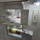 현대자동차 한림점 | 가을 제주도 3박4일 태교여행 1편. 김포공항 대한항공 임산부 혜택. 우무 푸딩. 조아렌트카. 궁서체