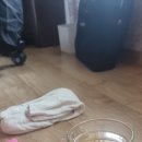 진잠당구장 이미지