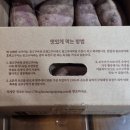 프리지아103 이미지