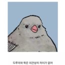 500원 동전에 &#34;학&#34;들어간 까닭 ... 이미지