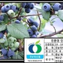 부흥농장 이미지