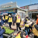 도체 성공기원 거리정화활동 캠페인 이미지