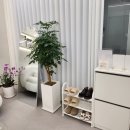 K-소리 콘테스트 | 수원 틴트입술 와이앤브로우 수원점 생기없던 입술이 생글생글 살아나는 수원 입술교정