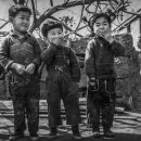 제주11번지
