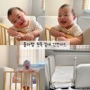 씨씨체형관리 | 낙상방지침대가드 플라팜 소나무 아기 침대안전가드 찐 후기