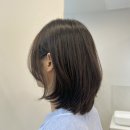 봄미용실 이미지