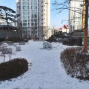 나루초등학교 이미지