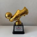 (주)월드트레이딩코리아 | [2025 유소년 축구대회] 2025 빅버드 축구페스티벌 &#39;로드 투 월드&#39;｜아이 출전 후기까지!