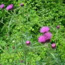 고성사방댐 이미지