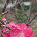 수목농장 이미지