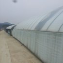 용배랜드 | 용배랜드. 딸기 따기 체험♡