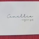 동백꽃집 이미지