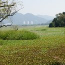 주남펜션민박 이미지