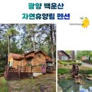 숲속의 집 이미지