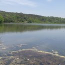 대동1리 이미지