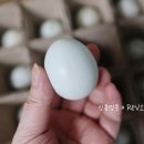 순천청계농장 이미지