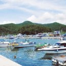 삼포슈퍼 이미지