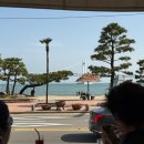 도열태양광 1호 | 부산 수영구 :: 까사부사노 테라스, 광안리 광안대교뷰 카페 솔직후기