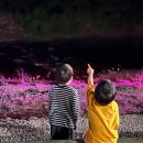 미소가든펜션 이미지