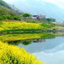 곡성 신기 | 곡성 여행은 봄꽃명소, 섬진강코스, 곡성기차마을로