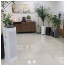 태평가이드치과의원 이미지