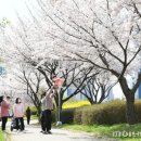 안산중앙도서관 일원 이미지