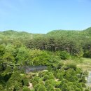 감나무집보리밥 이미지