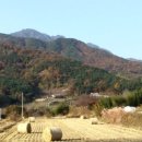 월촌농장2 이미지