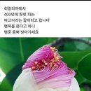 자전거로 제주도 환상잔차길 빡세게 ~~(게) 이미지