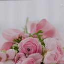 쉴만한물가요양원 | 울주군 믿을 수 있는 추천 요양원 쉴만한물가 신뢰할 수 있는 요양원