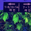 소사벌이즈락볼링장 이미지
