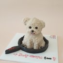 드루왕왕 이미지