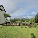 대흘민박 이미지