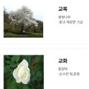 현천고등학교 이미지
