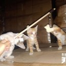 깨비창고