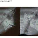 행복한연치과의원 이미지