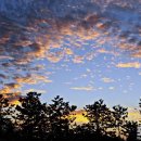 노을이예쁜집 이미지