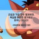 하쿠나마타타 이미지