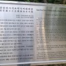 석조전자 이미지