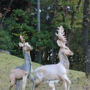 너른마당 이미지