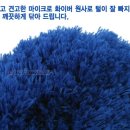 웰버스 이미지